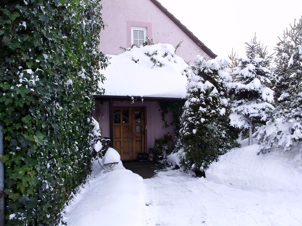 Ubytovani Doma Hotel Tisa Exterior photo