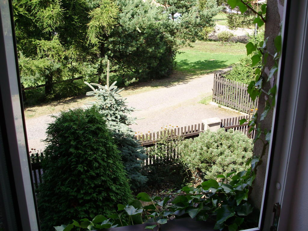 Ubytovani Doma Hotel Tisa Exterior photo